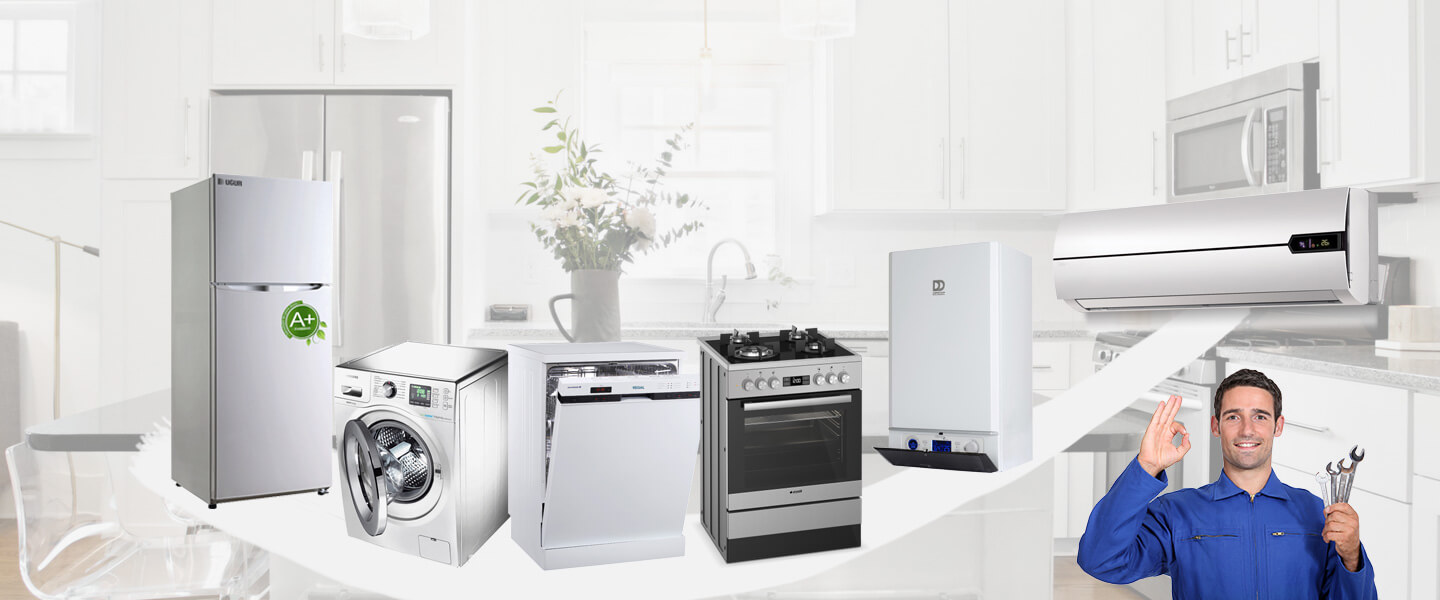 Küçükyalı Viessmann Servisi